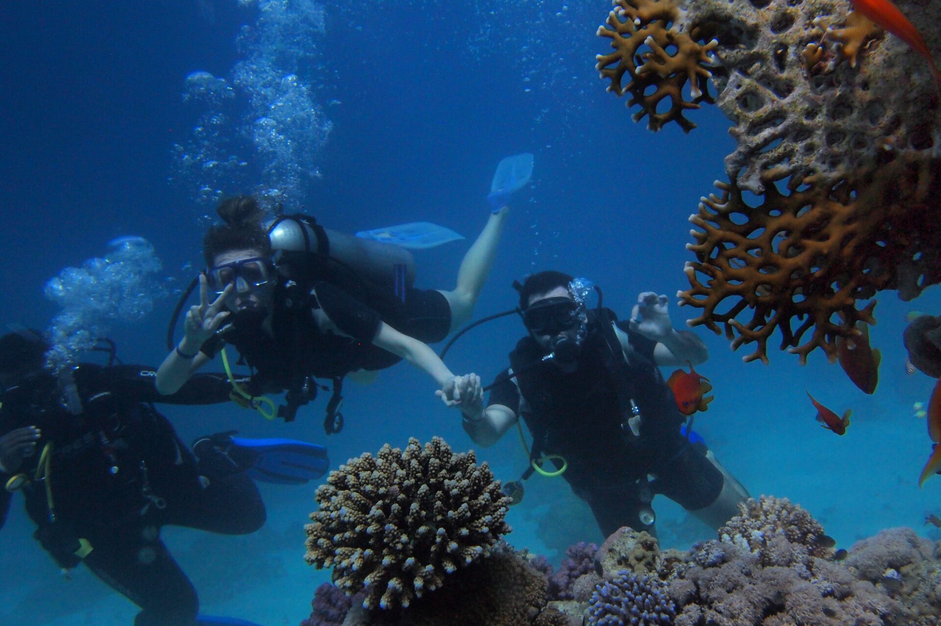 Beqa Adventure Divers Fiji will show you Sharks!