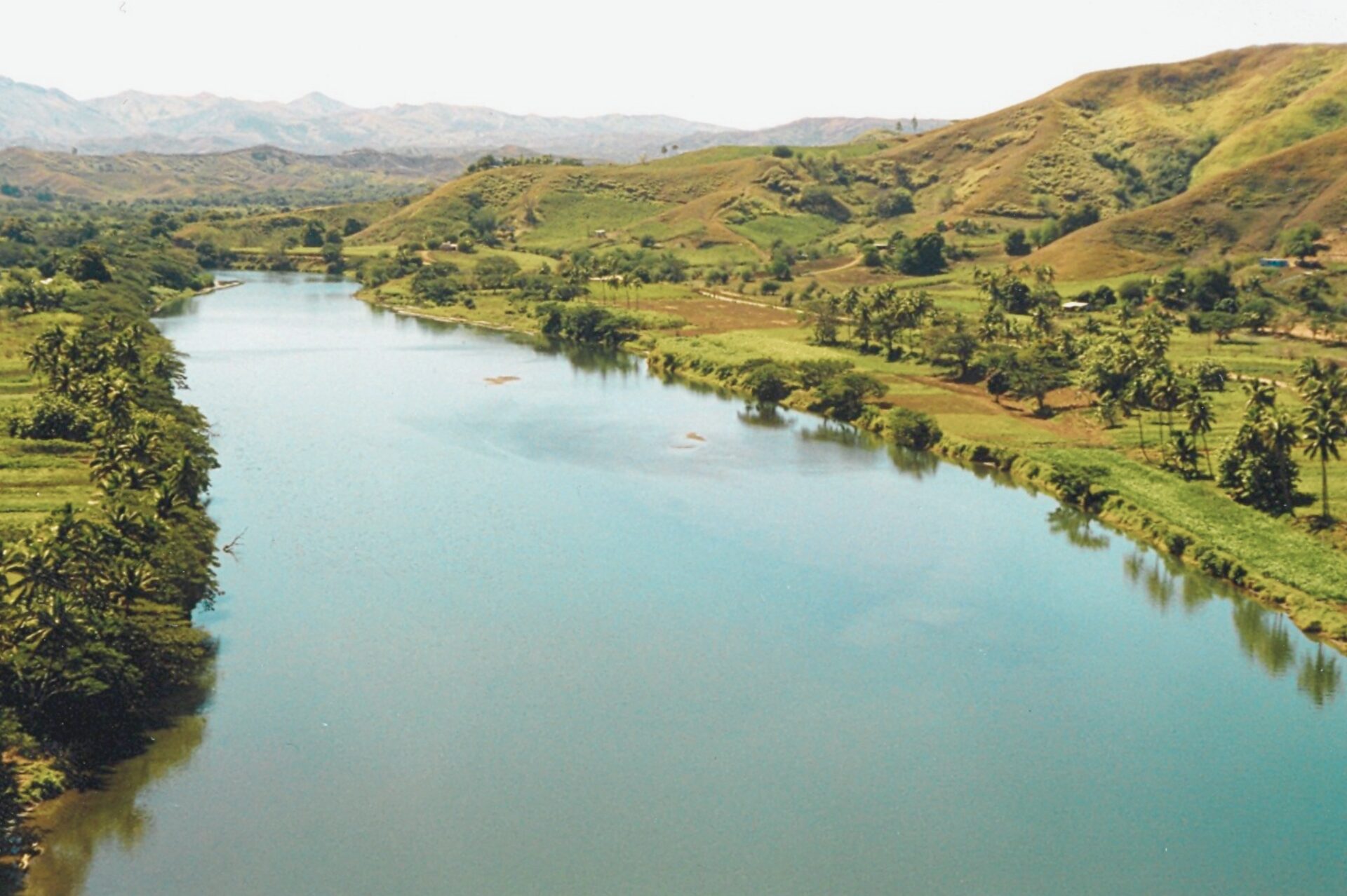 Fiji High Sigatoka